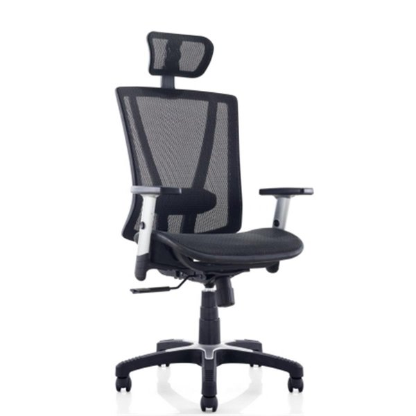 Templeton Fully Meshed Ergo Office Chair with Headrest - Black TE2547163